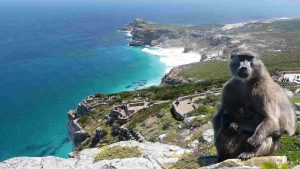 voyage golf afrique du sud big5 big 5 five safari
