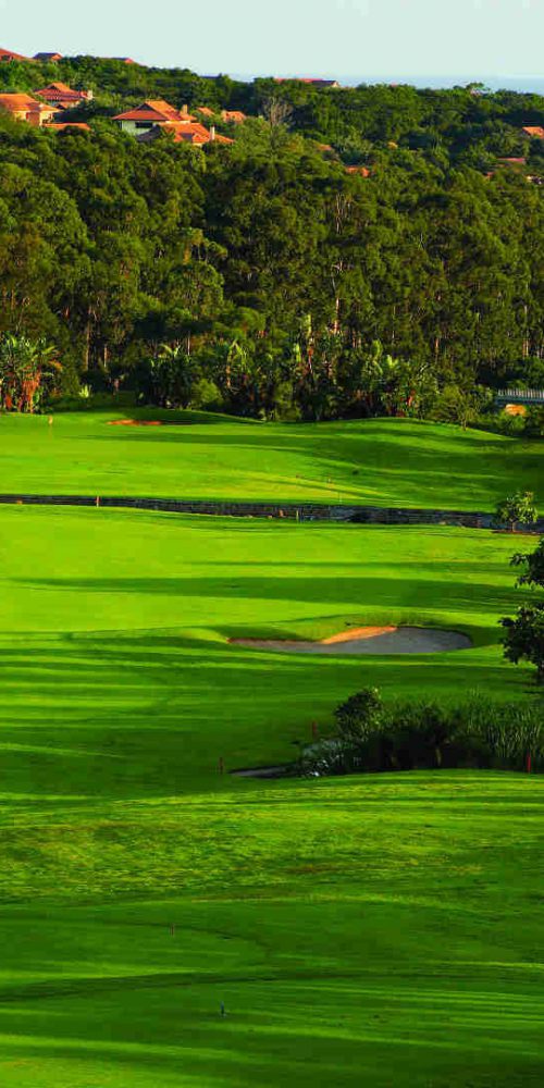 voyages golf afrique du sud